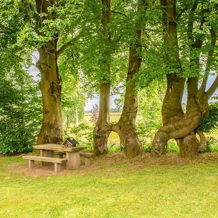 Spacious With Private Garden Near Lake In * Waimes